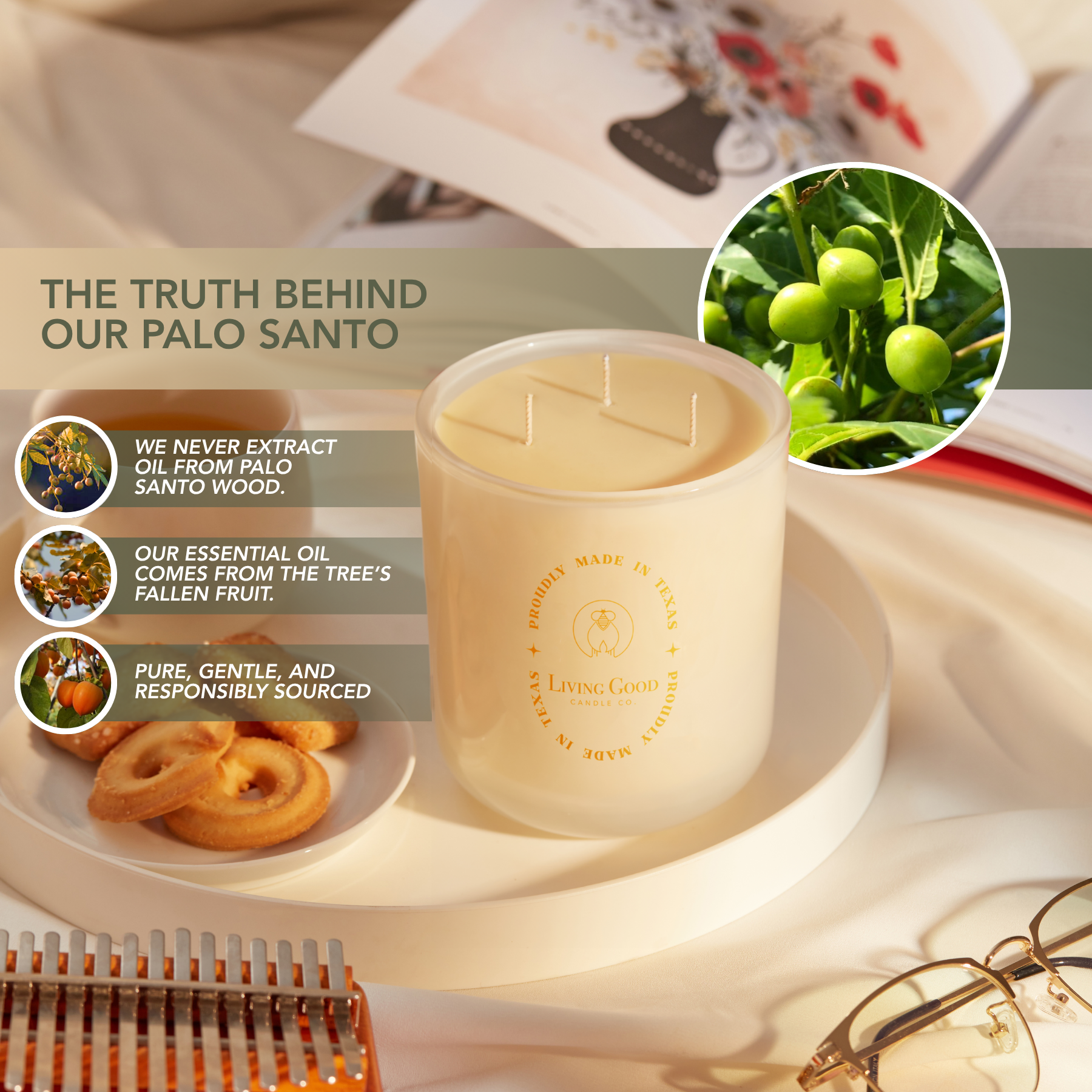 PALO SANTO